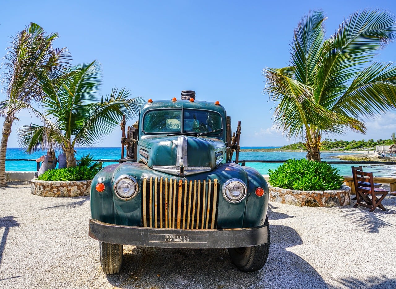 Vintage pickup truck parked near palm trees with the ocean in the background.