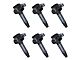 Ignition Coils; Black; Set of Six (11-17 3.5L V6, 3.7L F-150)