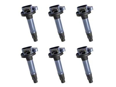 Ignition Coils; Black; Set of Six (16-17 3.5L V6 F-150)