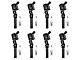 Ignition Coils with Spark Plugs; Black (00-10 4.6L F-150)