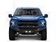 Addictive Desert Designs Stealth Fighter Winch Front Bumper (17-20 F-150 Raptor)