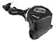 AFE Momentum GT Cold Air Intake with Pro DRY S Filter; Black (19-24 6.2L Sierra 1500)