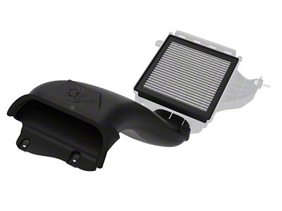 AFE D.A.S. PLUS Induction System with Pro DRY S Filter (21-24 F-150)