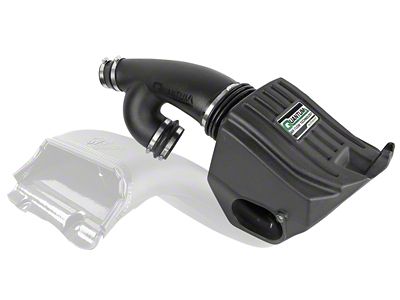 AFE Quantum Cold Air Intake with Pro 5R Oiled Filter; Black (17-20 F-150 Raptor)