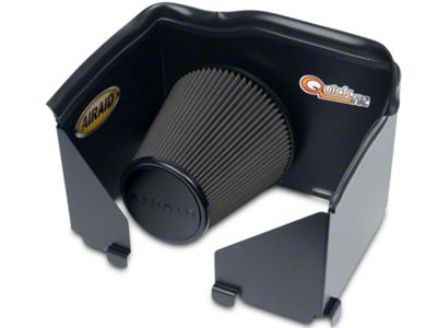 Airaid QuickFit Air Dam with Black SynthaMax Dry Filter (02-05 5.7L RAM 1500)