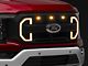 American Modified Raptor Style Mesh Upper Replacement Grille with DRL and Turn Signal Lights; Matte Black (21-23 F-150, Excluding Raptor)