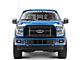 SEC10 AmericanTrucks Windshield Banner; White (97-24 F-150)