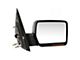 Replacement Powered Heated Mirror; Passenger Side (04-06 F-150 w/o Puddle Light)