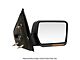 Replacement Powered Heated Mirror; Passenger Side; Chrome (04-06 F-150 w/ Signal Lamp & w/o Puddle Light)