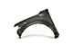 Anderson Composites Type-OE Front Fenders; Carbon Fiber (17-20 F-150 Raptor)