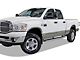 6-Inch iStep Running Boards; Hairline Silver (02-08 RAM 1500 Quad Cab)