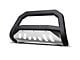 Armordillo AR Series Bull Bar with Aluminum Skid Plate; Matte Black (05-07 F-350 Super Duty)