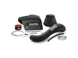 Banks Power Ram-Air Cold Air Intake with Dry Filter (11-14 5.0L F-150)