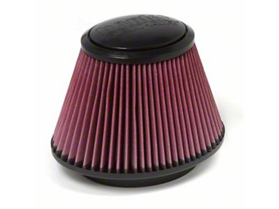 Banks Power Replacement Ram Air System Filter; Oiled (11-14 F-150)