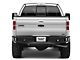 RedRock Tubular Off-Road Rear Bumper with LED Fog Lights (06-14 F-150)