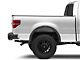 RedRock Tubular Off-Road Rear Bumper with LED Fog Lights (06-14 F-150)