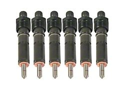 BD Power Fuel Injector Kit; Set of 6; 120HP; Black (94-Early 98 5.9L I6 RAM 2500)