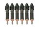 BD Power Fuel Injector Kit; Set of 6; 120HP; Black (94-Early 98 5.9L I6 RAM 2500)