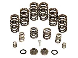 BD Power P7100 Governor Spring Kit; 4000 RPM (94-Early 98 5.9L I6 RAM 2500)