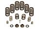 BD Power P7100 Governor Spring Kit; 4000 RPM (94-Early 98 5.9L I6 RAM 2500)