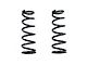 BDS 6-Inch Front Lift Coil Springs (03-13 4WD 5.9L, 6.7L RAM 2500)