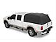 Bestop Replacement Tinted Windows for Supertop Soft Bed Topper (04-24 F-150)