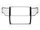 Grille Guard; Stainless Steel (09-14 F-150, Excluding Raptor)