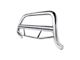 Max Bull Bar; Stainless Steel (09-18 RAM 1500, Excluding Rebel)