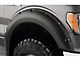 Bushwacker Pocket Style Fender Flares; Front; Matte Black (04-08 F-150)