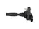 Ignition Coil (17-21 3.6L Canyon)