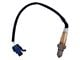 O2 Oxygen Sensor Set; Downstream (15-16 3.6L Canyon)