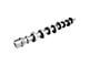 Comp Cams Tri-Power Xtreme 212/222 Hydraulic Roller Camshafts (97-10 4.6L 2V F-150; 97-03 5.4L F-150)