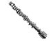 Comp Cams XFI 222/230 Hydraulic Roller Camshaft (09-24 5.7L RAM 1500)