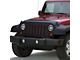 Covercraft LeBra Custom Front End Cover (02-04 Dakota)