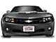 Covercraft Colgan Custom Full Front End Bra with License Plate and Fog Light Openings; Carbon Fiber (99-00 Sierra 1500)