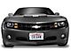 Covercraft Colgan Custom Full Front End Bra without Fog Light Openings and with License Plate Opening; Carbon Fiber (03-06 Silverado 1500, Excluding SS)