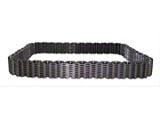 NVG241 Transfer Case Chain (02-04 RAM 1500)