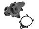 Engine Water Pump (96-02 2.5L Dakota)