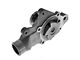 Engine Water Pump (96-02 2.5L Dakota)