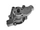 Engine Water Pump (96-02 2.5L Dakota)