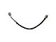 Front Brake Hose (05-10 Dakota)