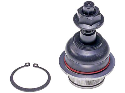 Front Lower Suspension Ball Joint (05-11 Dakota)