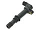 Ignition Coil (00-08 3.7L, 4.7L Dakota)