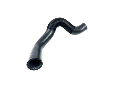 Lower Radiator Hose (00-03 3.9L Dakota)