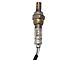 O2 Oxygen Sensor; Downstream Passenger Side (01-11 Dakota)