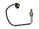 O2 Oxygen Sensor; Downstream Passenger Side (01-11 Dakota)