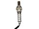 O2 Oxygen Sensor Set; Upstream (2005 3.7L Dakota)