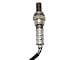 O2 Oxygen Sensor; Upstream (05-06 3.7L Dakota)