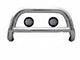 Sport Bull Bar with 5.30-Inch Black Round Flood LED Lights; Stainless Steel (97-04 Dakota)