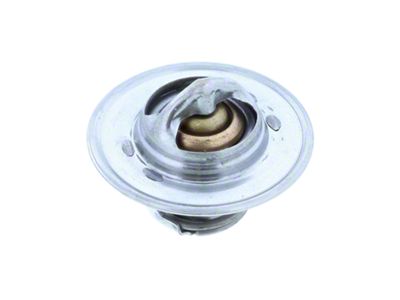 Thermostat; 180-Degree (87-03 Dakota)